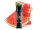 Elf Bar - ELFA CP Prefilled Pod - Watermelon - 0mg - 2er Pack
