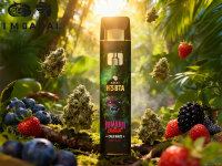 Jumanji by Gzuz H3BTA - Cali Haze - 1 ml