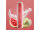HQD SURV - Melon Punch - 18 mg - 600 Züge